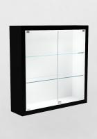 Музейная витрина В.П-1