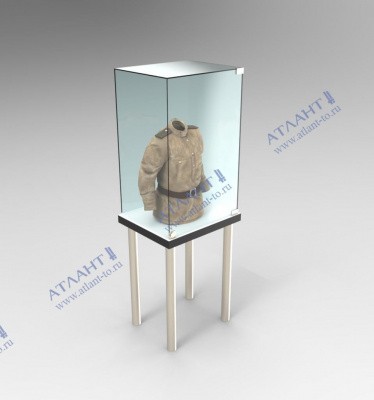 Музейная витрина купол ВМС-9
