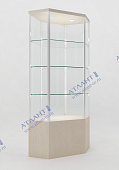 Витрина-ВК11